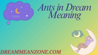 Ants in Dream Meaning