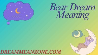 Bear Dream Meaning