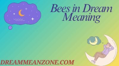 Bees in Dream Meaning