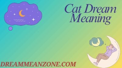 Cat Dream Meaning