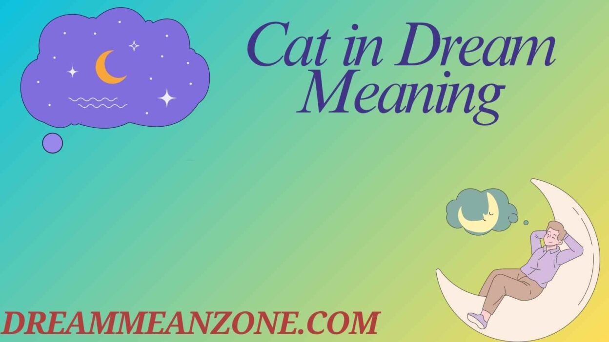 Cat in Dream Meaning