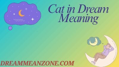 Cat in Dream Meaning