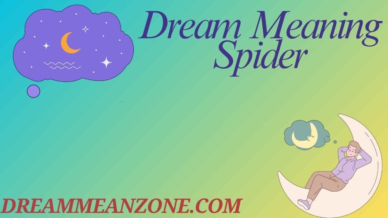 Dream Meaning Spider
