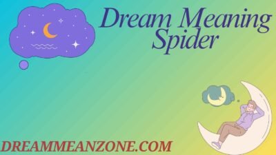 Dream Meaning Spider