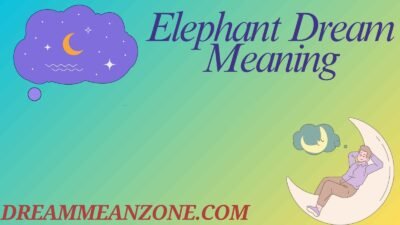 Elephant Dream Meaning