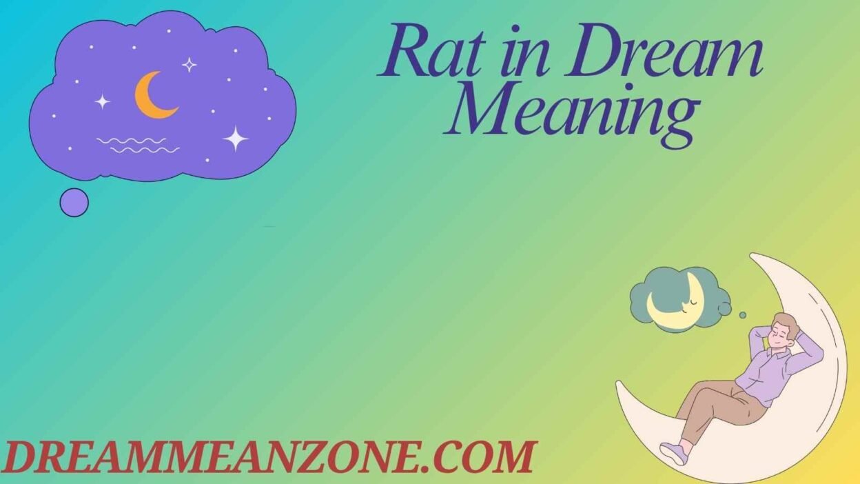 Rat in Dream Meaning