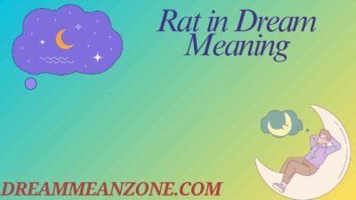 Rat in Dream Meaning