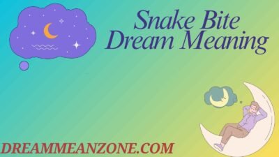Snake Bite Dream Meaning