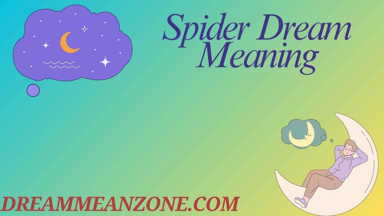 Spider Dream Meaning