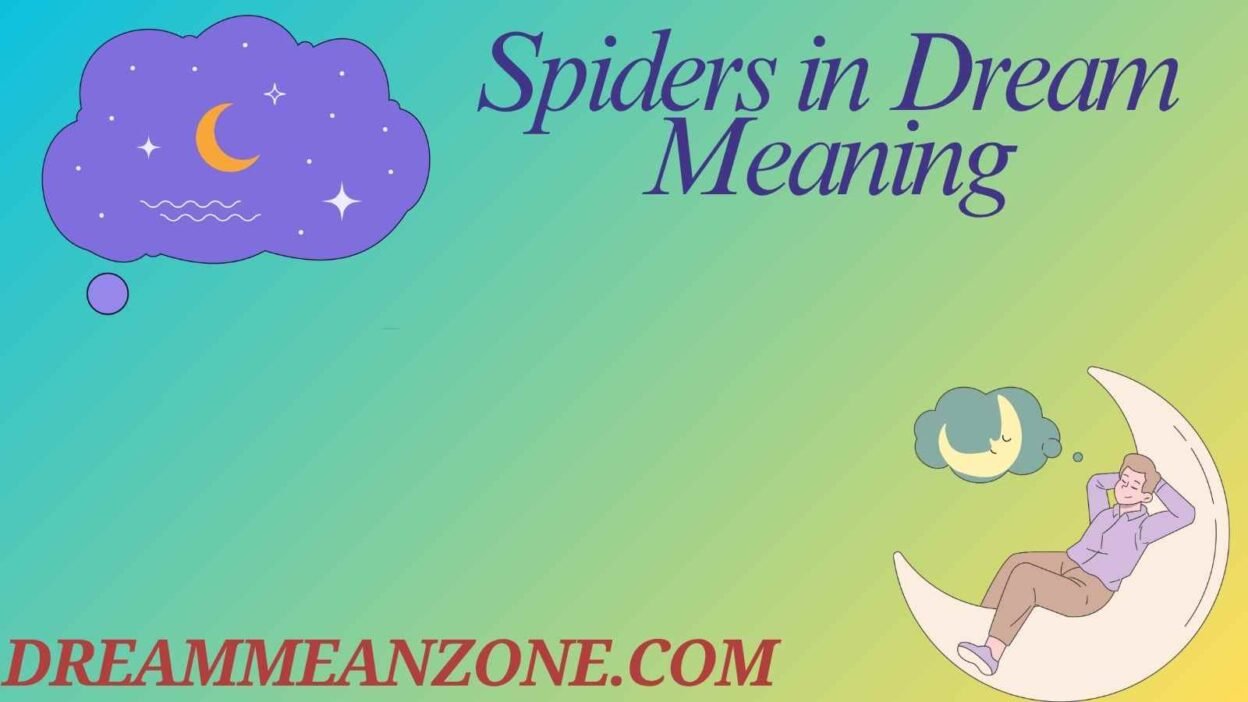 Spiders in Dream Meaning