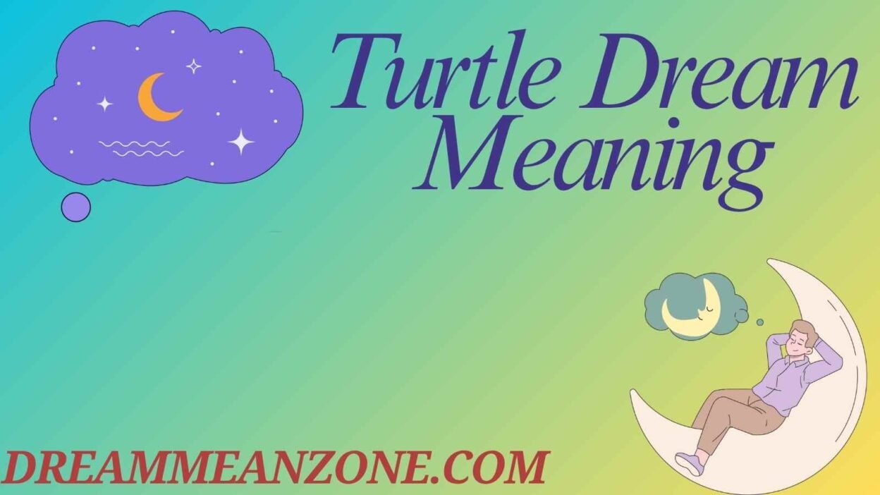 Turtle Dream Meaning