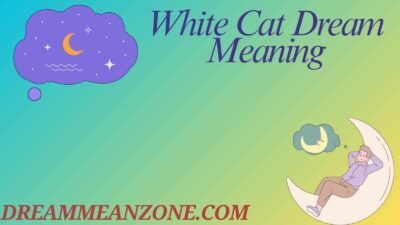 White Cat Dream Meaning