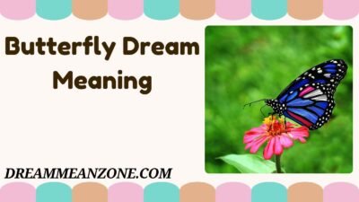 Butterfly Dream Meaning