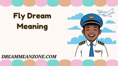 Fly Dream Meaning