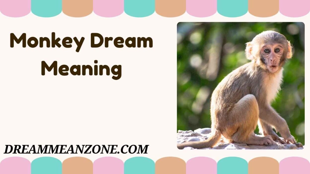 Monkey Dream Meaning