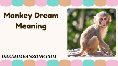 Monkey Dream Meaning
