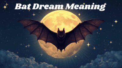 Bat Dream Meaning