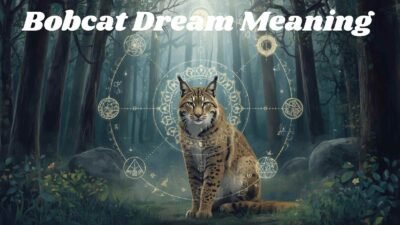 Bobcat Dream Meaning