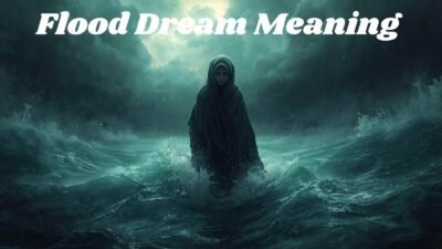 Flood Dream Meaning