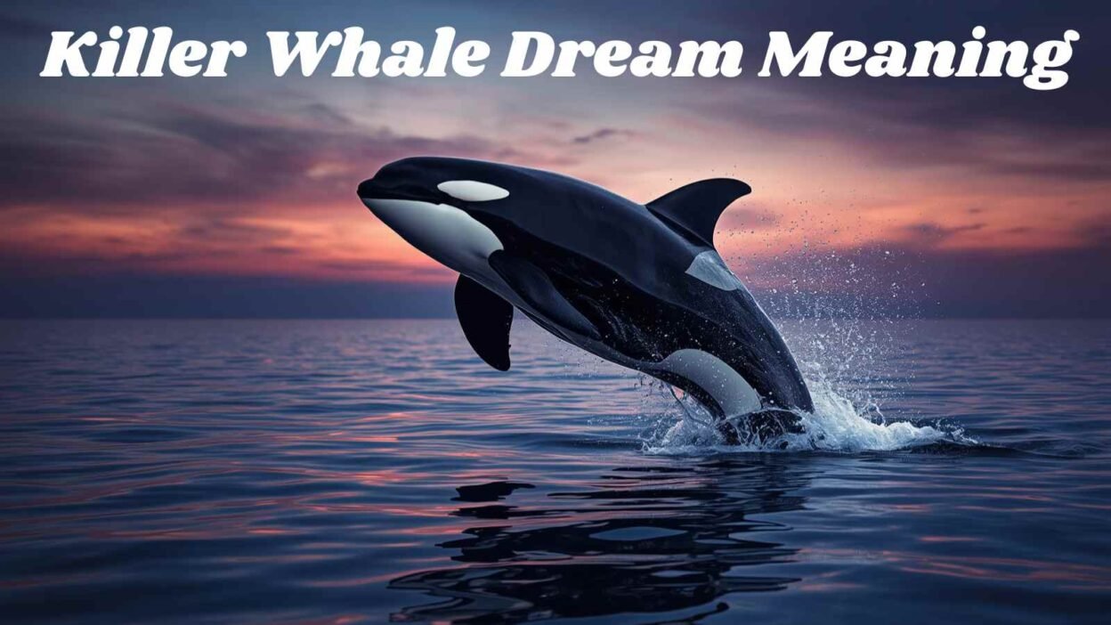 Killer Whale Dream Meaning