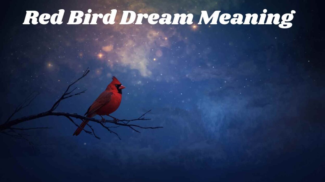 Red Bird Dream Meaning